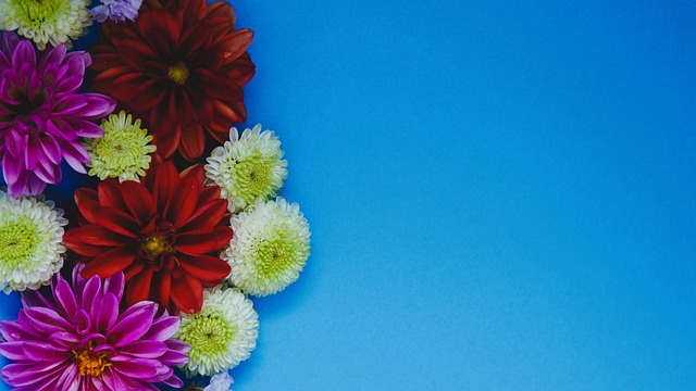 攻击力不容 攻击力不容