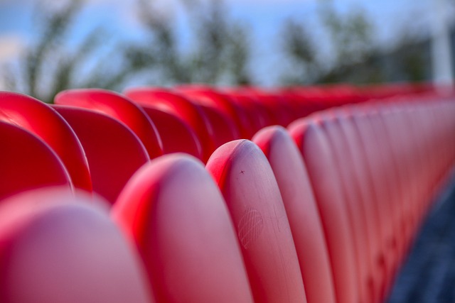 本地人口的 本地人口的