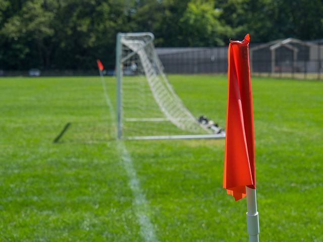 道路上的一 道路上的一