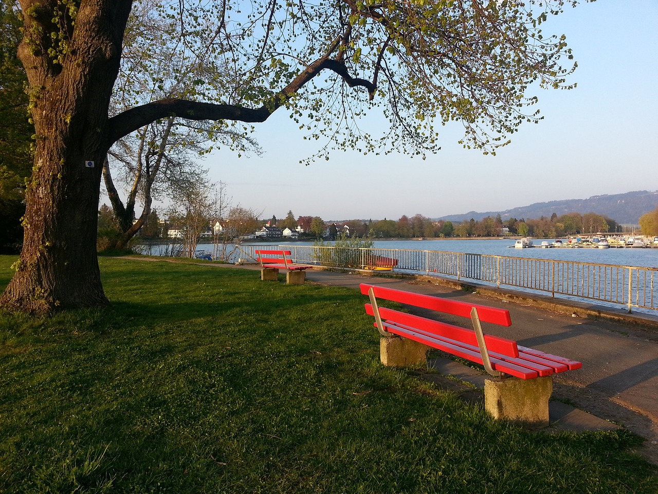 有的挑战 有的挑战